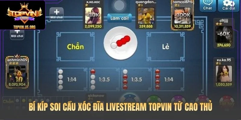 Bí kíp soi cầu Xóc Đĩa Livestream Topvin từ cao thủ
