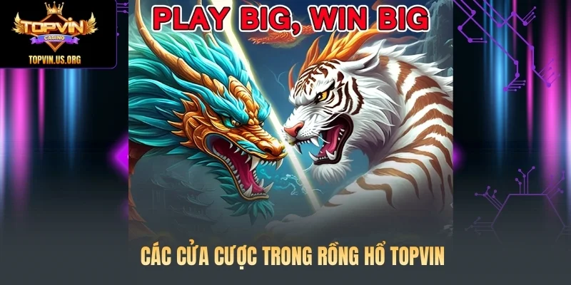 Các cửa cược trong Rồng Hổ Topvin