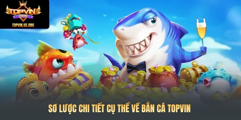 Tổng quan sơ lược về bắn cá Topvin