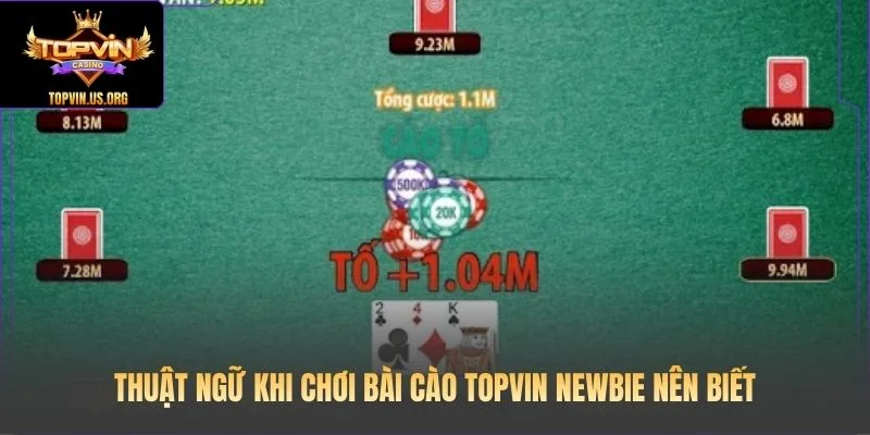 Thuật ngữ khi chơi Bài cào Topvin newbie nên biết